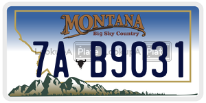 7AB9031  license plate in MT