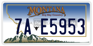7AE5953  license plate in MT