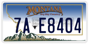 7AE8404  license plate in MT