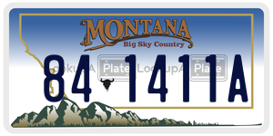 841411A license plate in Montana