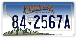 842567A  license plate in MT