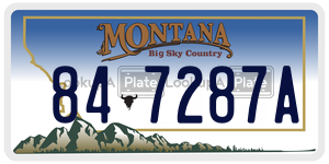 847287A license plate in Montana