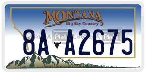 8AA2675  license plate in MT