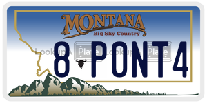 8P0NT4  license plate in MT