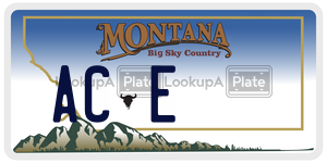 ACE  license plate in MT