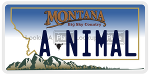 ANIMAL  license plate in MT