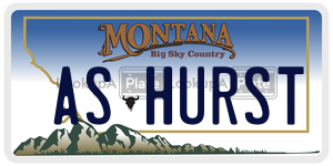 ASHURST  license plate in MT