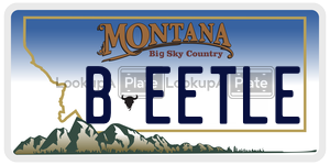 BEETLE  license plate in MT
