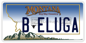 BELUGA  license plate in MT