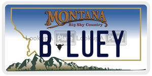 BLUEY  license plate in MT