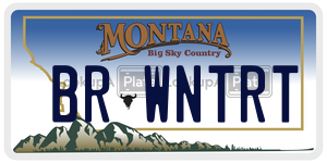 BRWNTRT  license plate in MT
