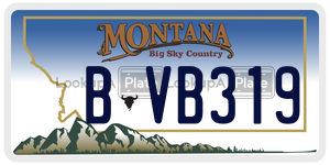 BVB319  license plate in MT
