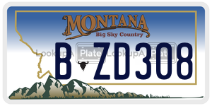 BZD308  license plate in MT
