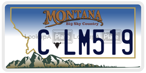 CLM519  license plate in MT