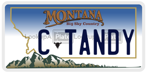 CTANDY  license plate in MT