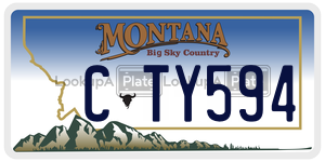 CTY594  license plate in MT