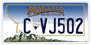 CVJ502  license plate in MT