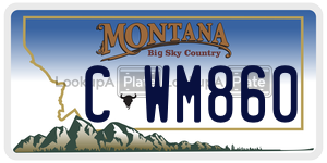 CWM860  license plate in MT