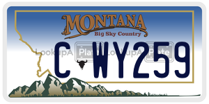 CWY259  license plate in MT