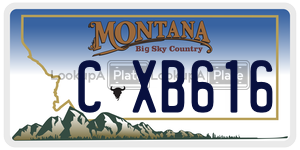 CXB616 license plate in Montana