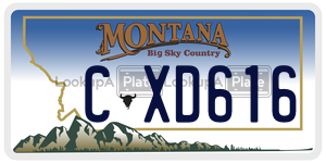 CXD616 license plate in Montana