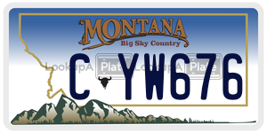 CYW676  license plate in MT