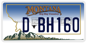 DBH160  license plate in MT