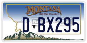 DBX295  license plate in MT