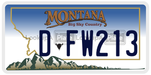 DFW213  license plate in MT