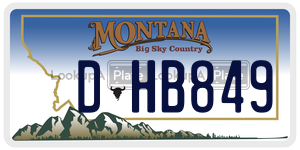 DHB849  license plate in MT