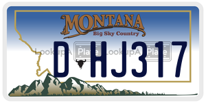 DHJ317  license plate in MT