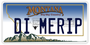 DIMERIP  license plate in MT