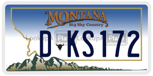 DKS172  license plate in MT