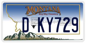 DKY729  license plate in MT