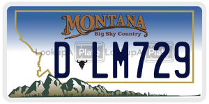 DLM729  license plate in MT
