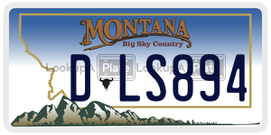DLS894  license plate in MT