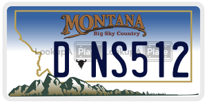 DNS512  license plate in MT