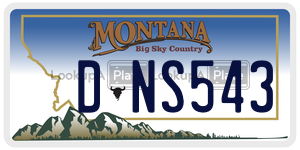 DNS543  license plate in MT