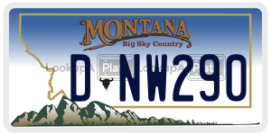 DNW290  license plate in MT