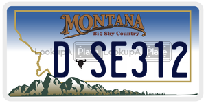 DSE312 license plate in Montana