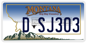 DSJ303  license plate in MT