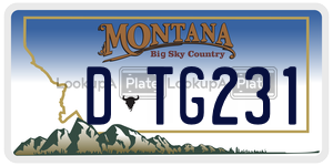 DTG231  license plate in MT