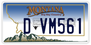 DVM561  license plate in MT