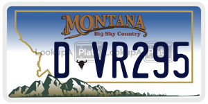 DVR295  license plate in MT