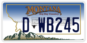 DWB245 license plate in Montana