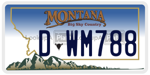 DWM788  license plate in MT