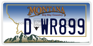 DWR899  license plate in MT