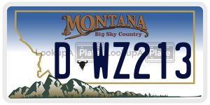 DWZ213  license plate in MT