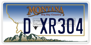DXR304  license plate in MT