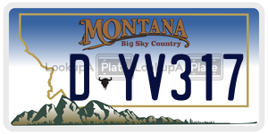 DYV317  license plate in MT
